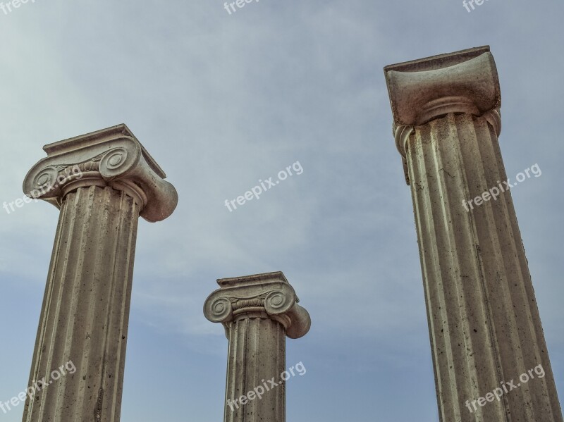 Pillar Capitals Greek Architecture Column Ionic