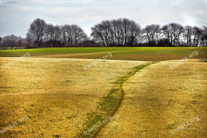 Landscape Nature Meadow Forest Of Course