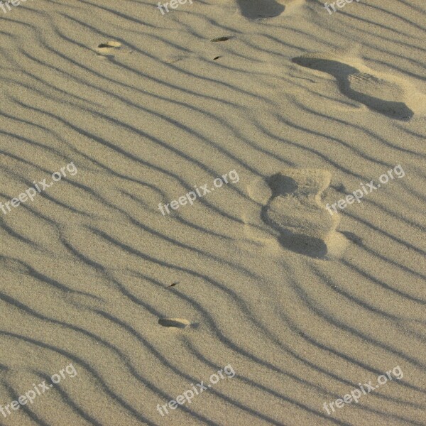 Wind Waves Sandy Beach Elephant Rock Beach Free Photos