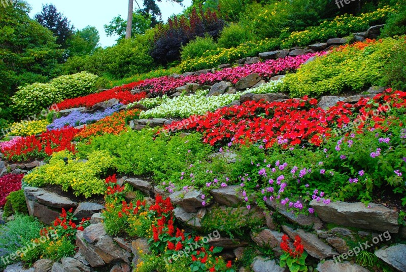 Flower Garden Nature Spring Green