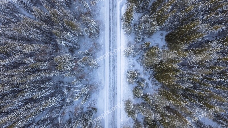 Forest Road Above Aerial Cold