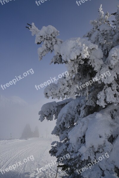 Ski Alps Snow Winter Mountain