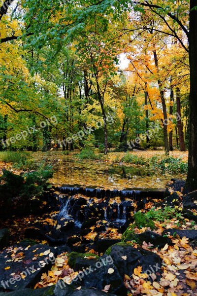 Autumn Park Foliage Spacer Tree