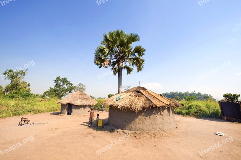 Hut Africa Northern Uganda Village Rural