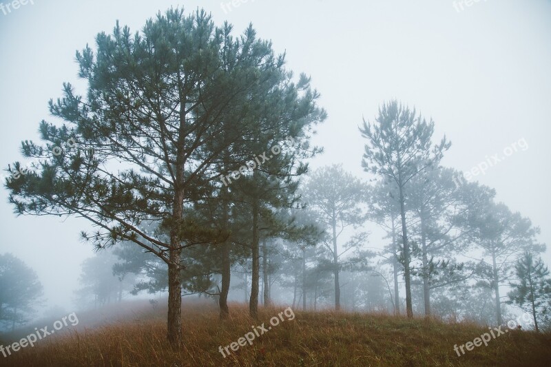 Vietnam Da Lat Honbo Free Photos