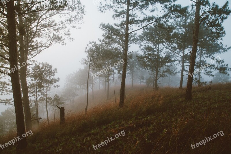 Vietnam Da Lat Honbo Free Photos