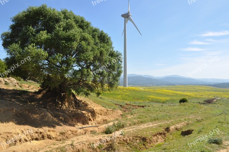 Landscape Windmill Sky Ecological Renewable Energy