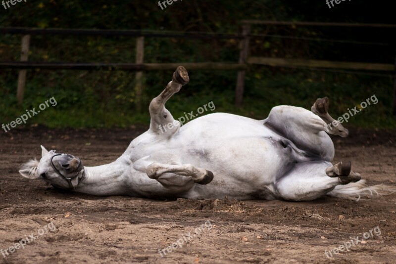 Pasture Rolling Green Free Photos