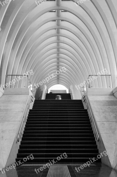 Architecture Symmetry Building Repetition Lines