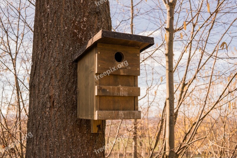 Bird Feeder Wood Aviary Bird Nest