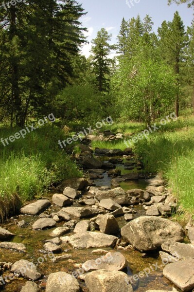 Stream Brook Mountains Summer Green