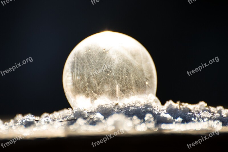 Soap Bubble Ice Seifenblase Frozen Frozen Bubble Bubble