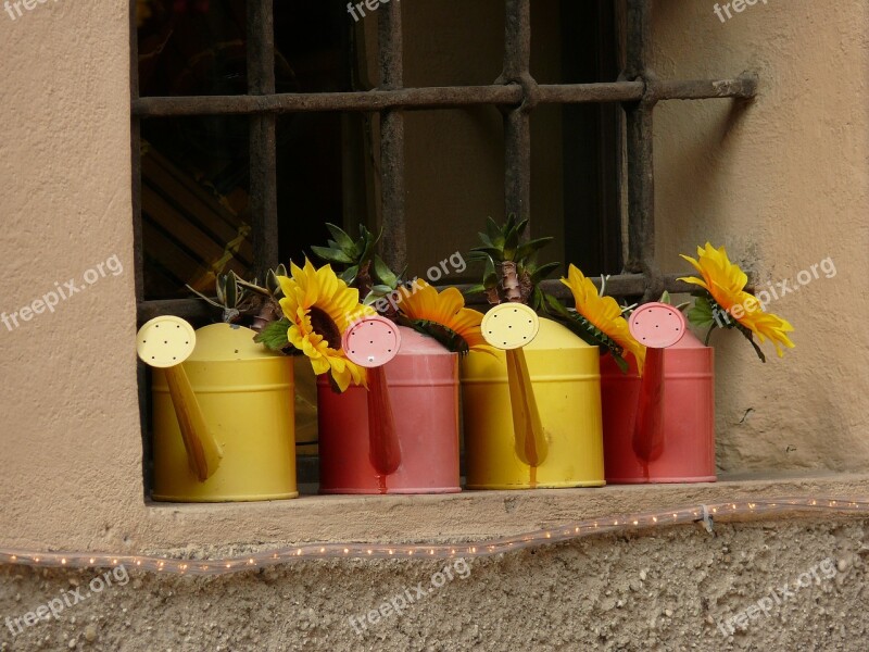 Flower Sunflower Water Can Window Decoration