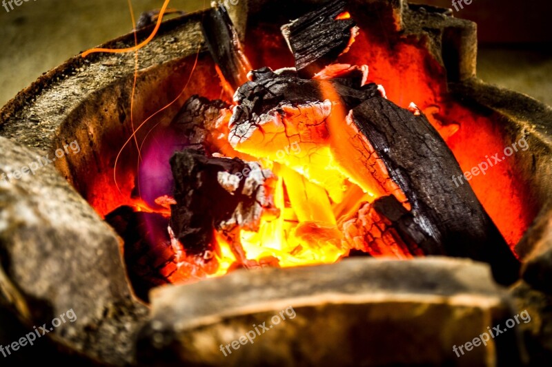 Bonfire Heat Grilled Fish Night Free Photos