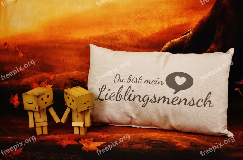 Love Danbo Favorite Human Pillow Valentine's Day