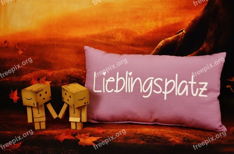 Love Danbo Favorite Place Pillow Valentine's Day