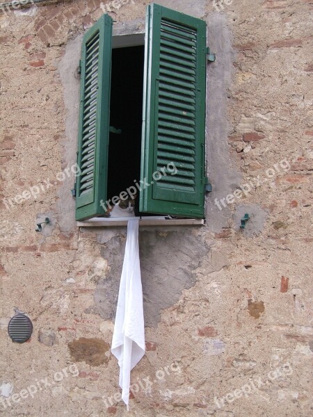 Window Cat Italy Tuscany Facade