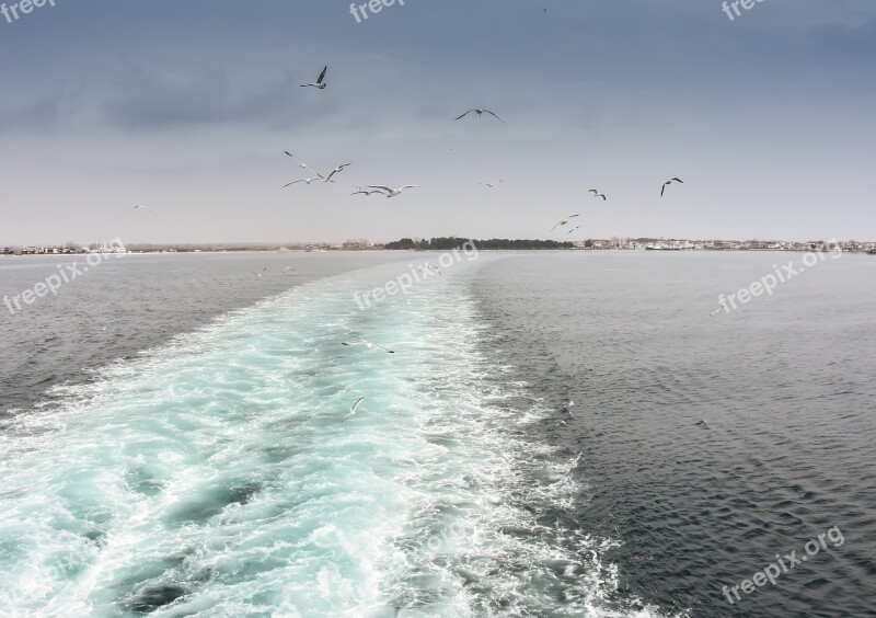 Ferryboat Thasos Greece Greek Life