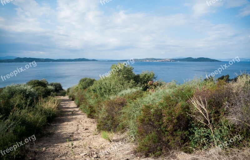 Sea Beach View Nature Bushes