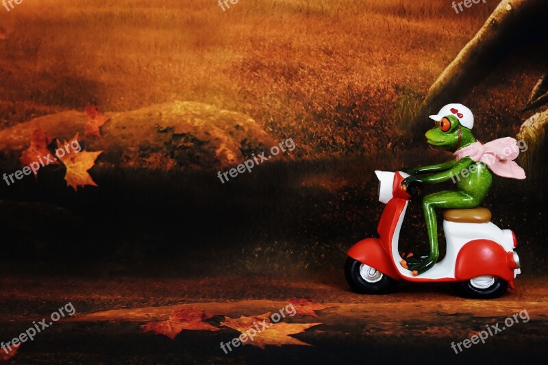 Vespa Roller Motor Scooter Cult Frog