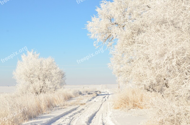 Driveway Road Hoarfrost Winter White