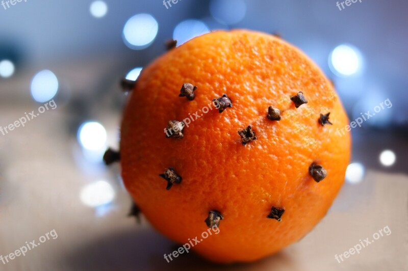 Holidays Orange Cloves Backlog Free Photos