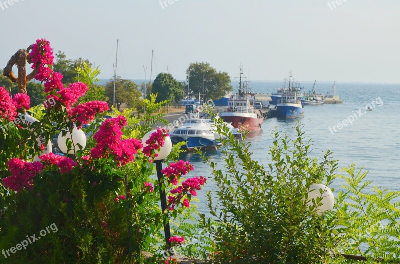 Bulgaria Nessebar Port Flowers Ships