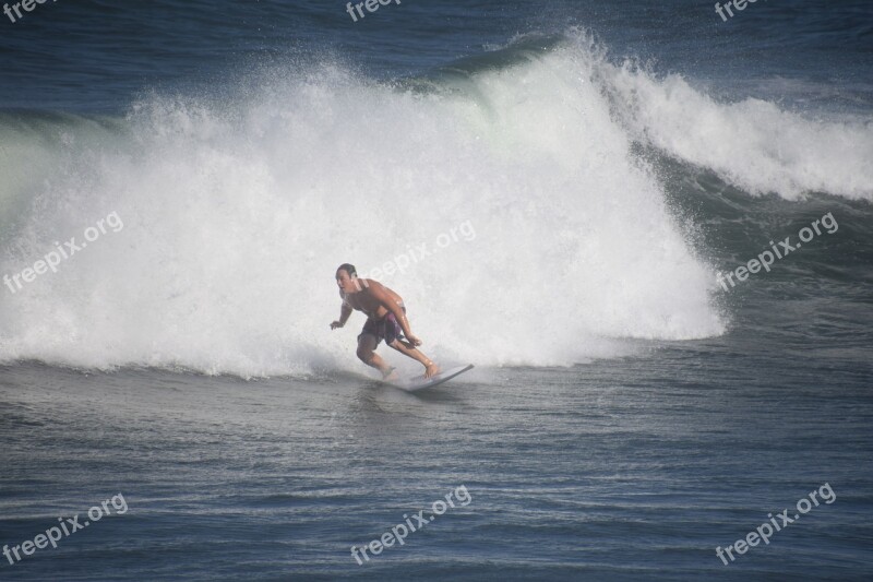 Surfer Waves Gold Coast Active Free Photos