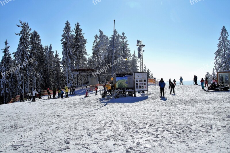 Ski Areal Skiing Winter Winter Sport Ski Resort