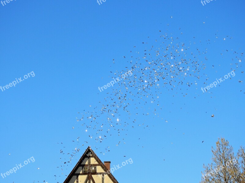 Carnival Move Sky Confetti Confetti Cannon