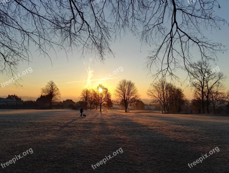 Winter Frost Christmas Cold Landscape