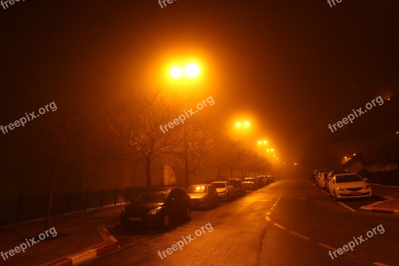 Fog Mysterious Night Color Nature