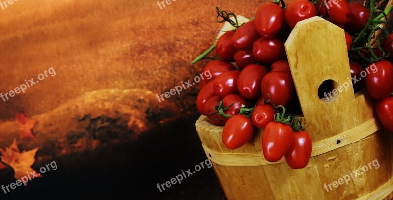 Tomatoes Wooden Bucket Collect Vegetables Healthy