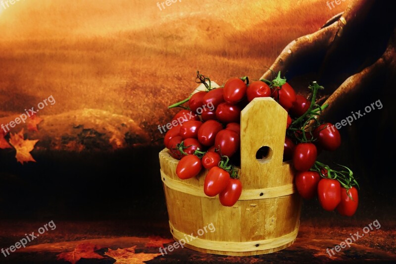 Tomatoes Wooden Bucket Collect Vegetables Healthy