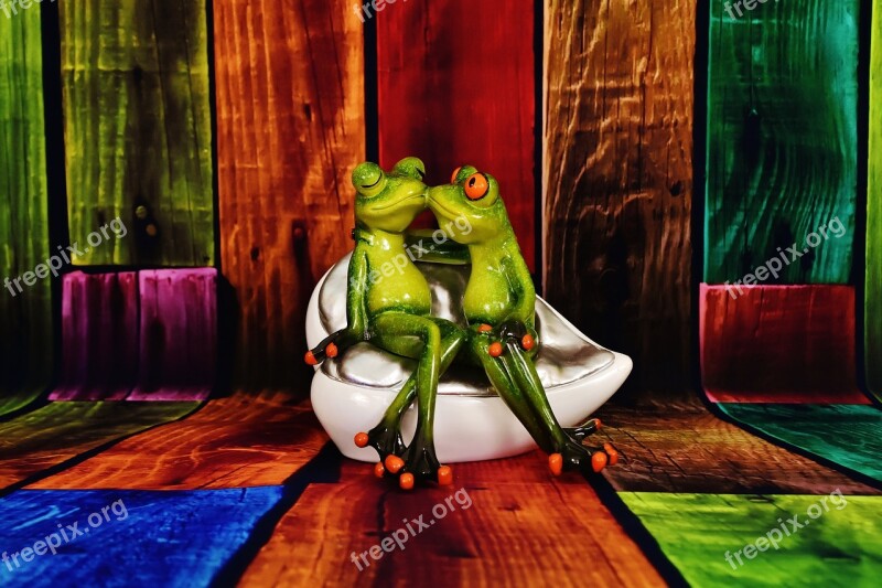 Lovers Frogs Funny Pair Love