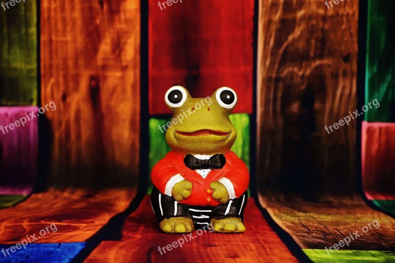 Frog Figure Funny Suit Cute