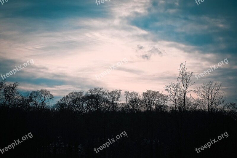 Trees Winter Forest Nature Landscape