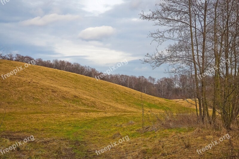 Landscape Nature Meadow Forest Of Course