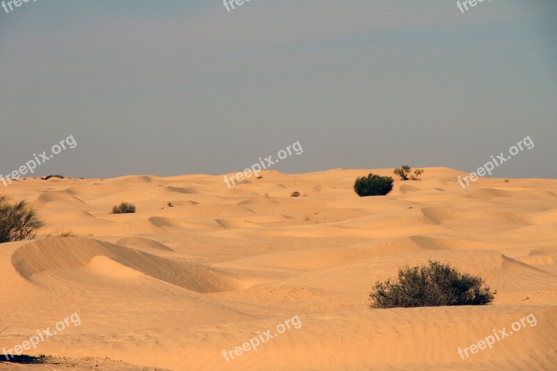 Desert Tunisia Nature Landscape Sand