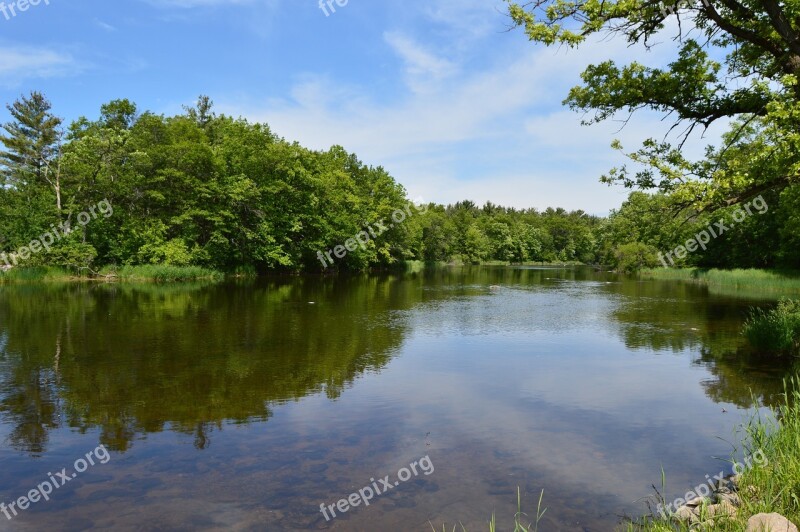 Red Cedar River Stream Pine Trees Landscape With River Fresh Water