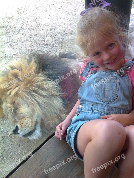 Lion Girl Zoo Child Childhood