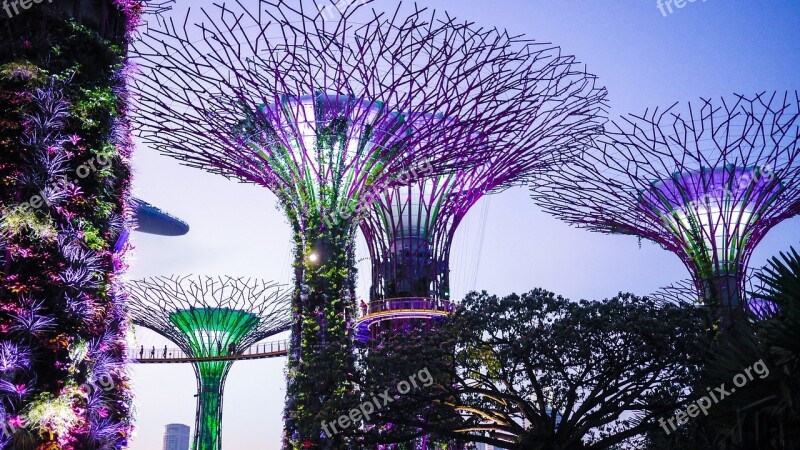 Singapore Gardens By The Bay Colorful Attraction Supertree