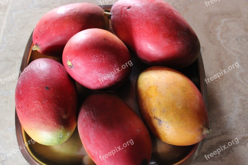 Fruit Manga Fruit Bowl Free Photos