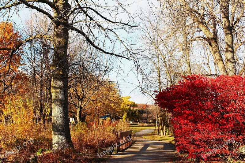 The Autumnal Park Alley View Tree Nature