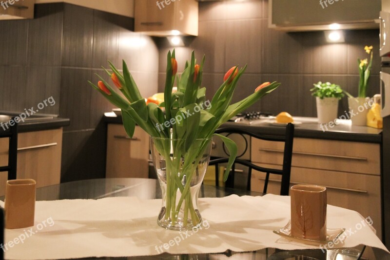 Apartment Flowers Tulips Room House