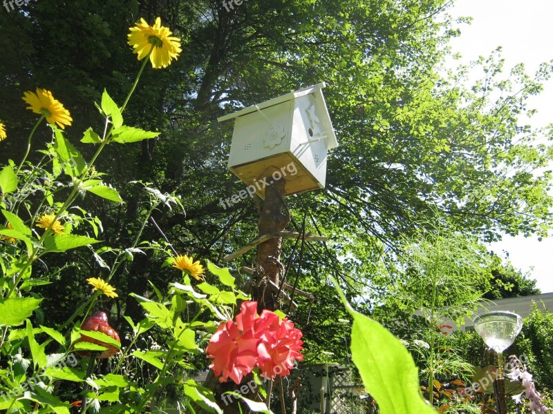 Birdhouse Garden Nature Bird House