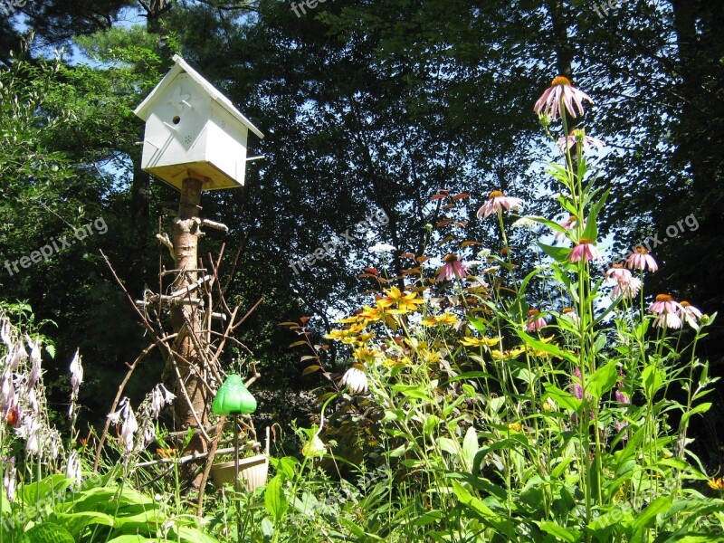 Garden Birdhouse Nature Season Feeder