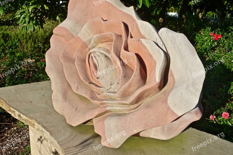 Sculpture Rose Stone Petals Flower