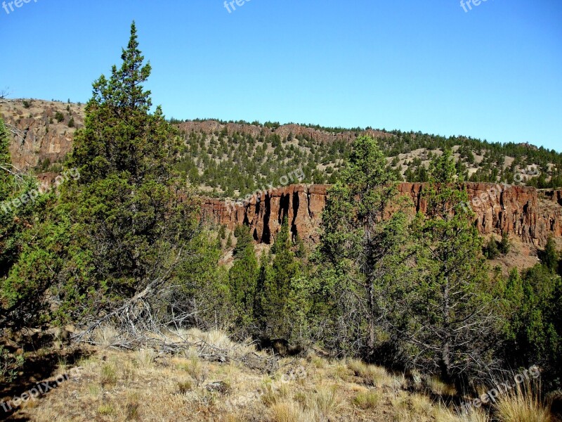 Landscape Tree Nature Forest Outdoor