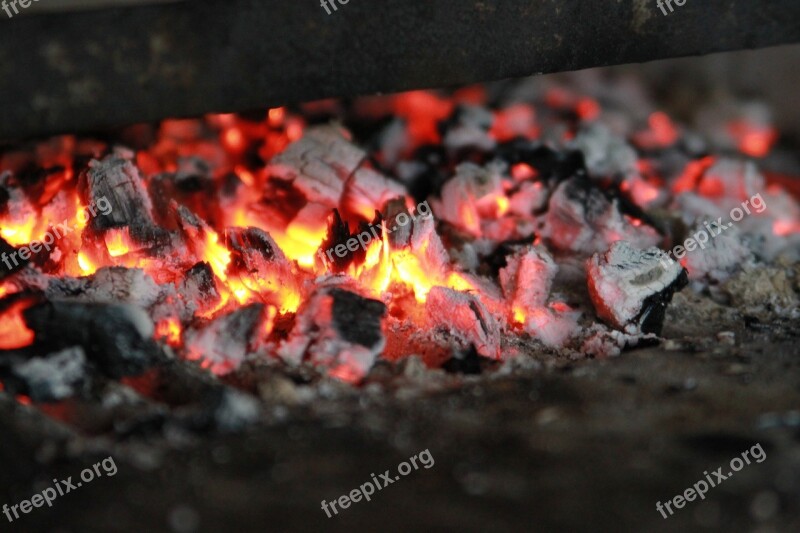 Coals Fire Koster Firewood Burns